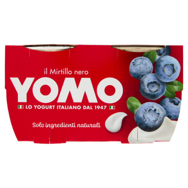 Yomo il Mirtillo nero 2 x 125 g