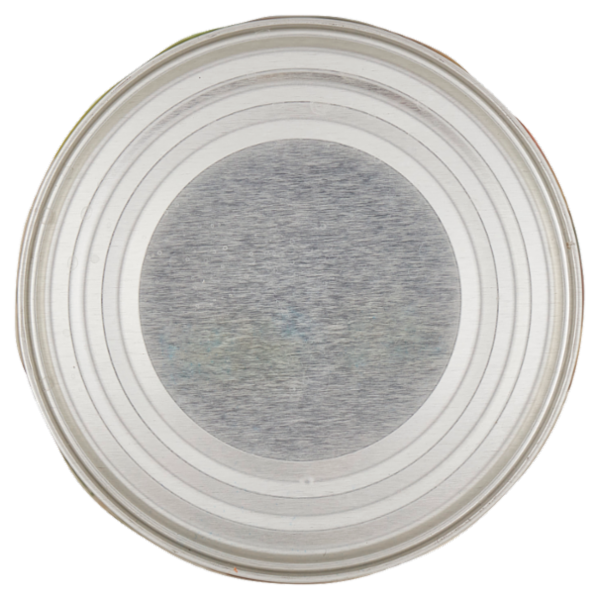 Knorr Minestrone di 11 Verdure 535 g