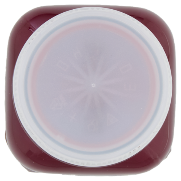 DimmidiSì Estratto con Mirtillo & Zenzero 250 ml