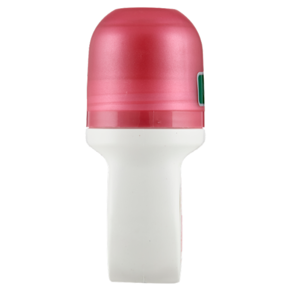 Borotalco Seta Profumo Cipriato di Fiori Rosa Deo Roll On 50 ml