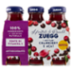 Zuegg I frutteti di Oswald Zuegg i Nettari Cranberry e Açai 6 x 125 ml
