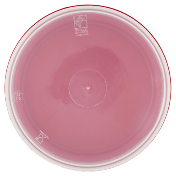 Selex Contenitore per Alimenti Freezer/Frigo Tondo 2,50 L