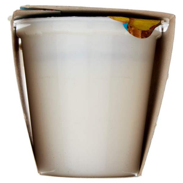 Latteria Brunico Yogurt Magro Zero Grassi Frutta Frullata Ananas 2 x 125 g