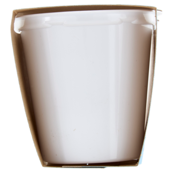 Selex Yogurt Magro Ananas 2x125 g