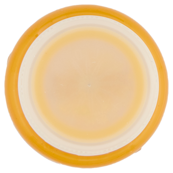 DimmidiSì Frullato fresco Arancia e Carota 250 ml