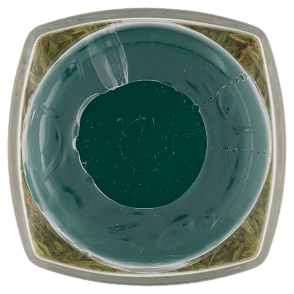 Consilia Erba Cipollina 17 g