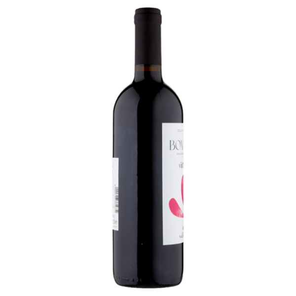 Cantina Valtidone viti&vini Colli Piacentini D.O.C. Bonarda Vino Frizzante Amabile 0,75 l