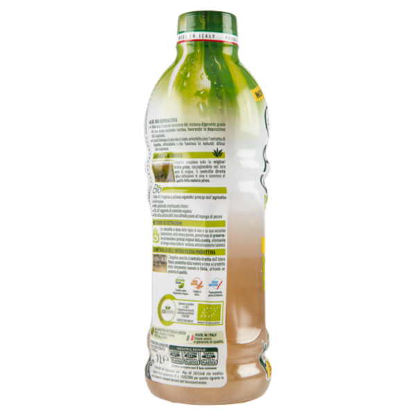 L'Angelica Aloe Vera Biologica 1 L
