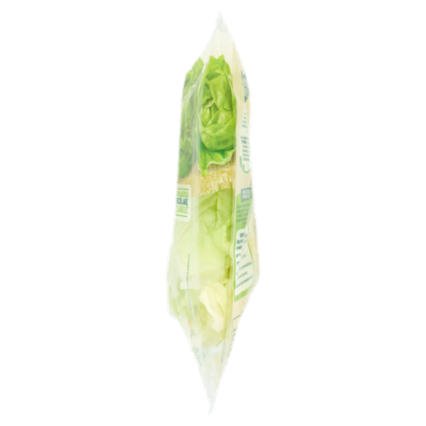 Bonduelle Cuor di Lattuga 140 g