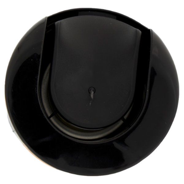 Raid Max Scarafaggi e Formiche 300 ml