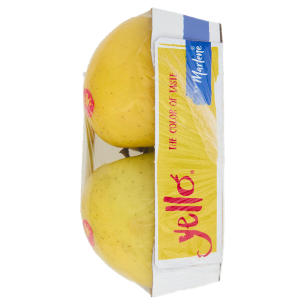 yello by Marlene Shinano Gold vassoio 4 frutti