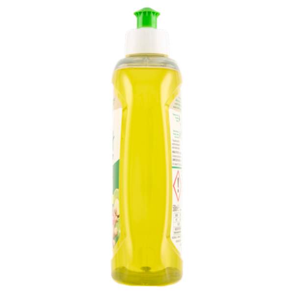 Vert di Chanteclair Ecodetergente Piatti Limone e Zenzero 500 ml