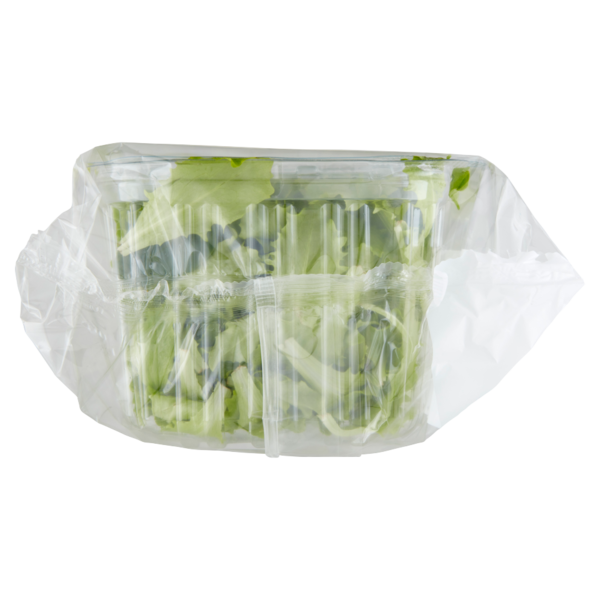 OrtoRomi Lattughino 400 g