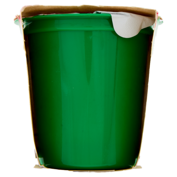 Soia Lovers Mirtillo 2 x 125 g