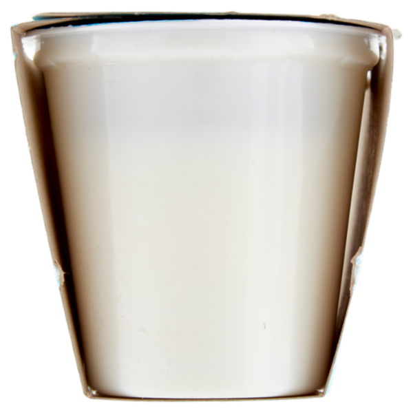Latteria Brunico Yogurt Magro Zero Grassi Vaniglia 2 x 125 g