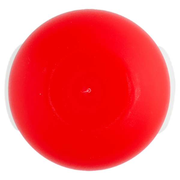 Borotalco Intensivo Profumo di Borotalco Deo Roll On 50 ml