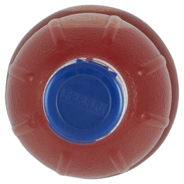 Fabbri Mixy Bar Papaya 1 L