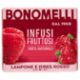 Bonomelli Infusi Fruttosi 100% Naturali Lampone e Ribes Rosso 12 Filtri 24 g