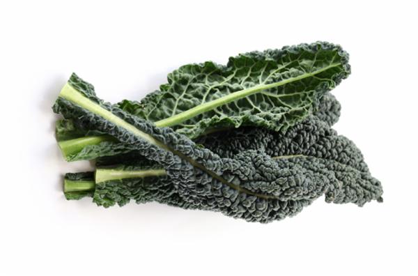 CAVOLO NERO LIGURIA