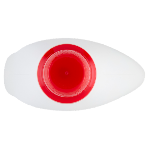 DIXAN Liquido Classico 42 Lavaggi 1.890 ml