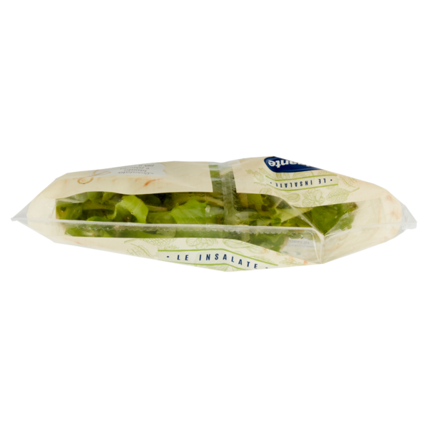 IL GIGANTE le Insalate Lattughino 100 g