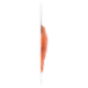 Riunione Le Sfiziose Salmone Affumicato 100 g