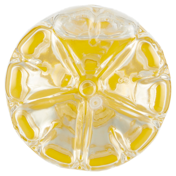 Sant'Anna Fruity Touch Acqua e Limone 330 ml