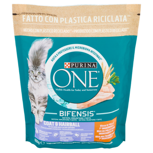 PURINA ONE Coat & Hairball Ricco in Pollo 800 g