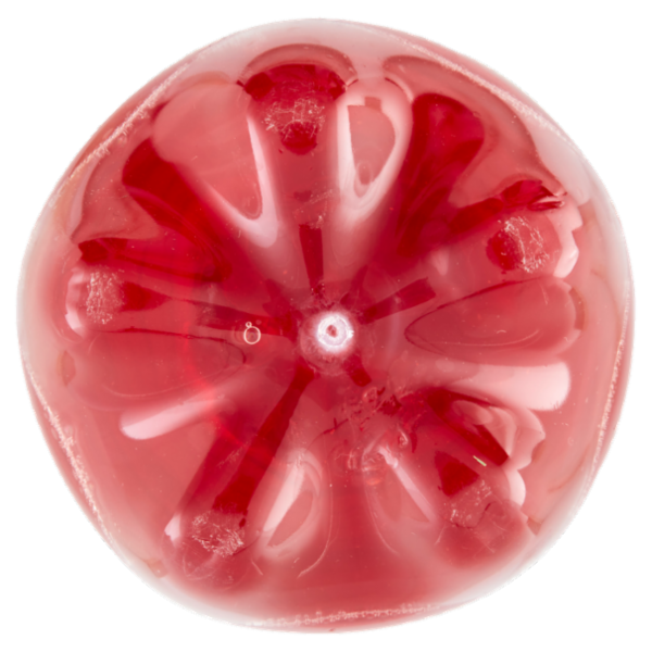 Consilia Ginger 1,5 L