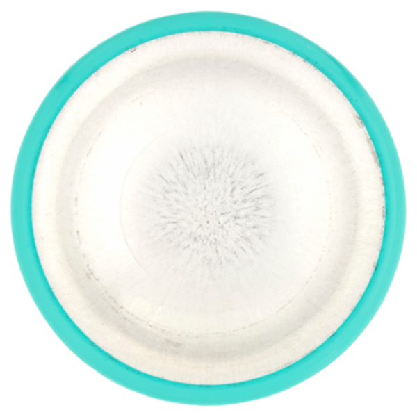 L'Oréal Paris Ritocco Perfetto Spray Istantaneo Ritocco Radici, i Castani Mogano, 75 ml