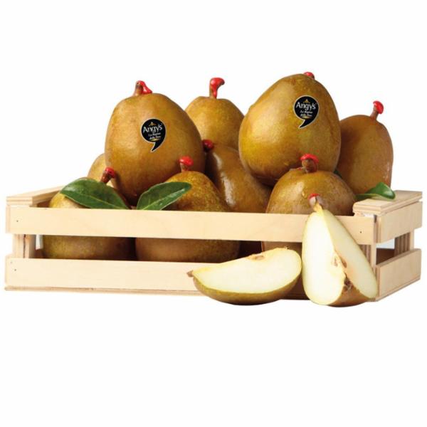 PERE ANGYS
