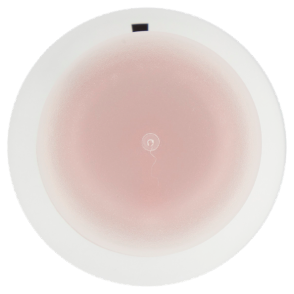 Borotalco Invisibile Profumo Cipriato Deo Spray 150 ml