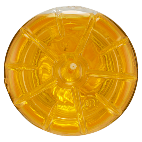 Bestfrj Olio di semi di mais 1 l