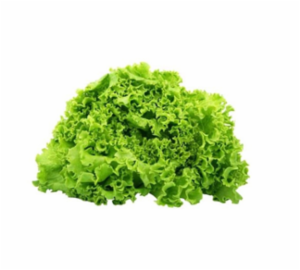 Insalata Trocadero Italia 250 g