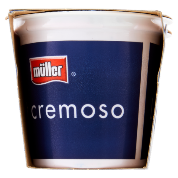 müller Yogurt Cremoso Mirtillo in Pezzi 2 x 125 g