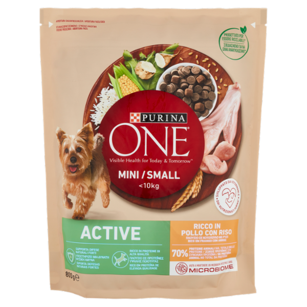 PURINA ONE Mini/Small Active Pollo con Riso 800 g