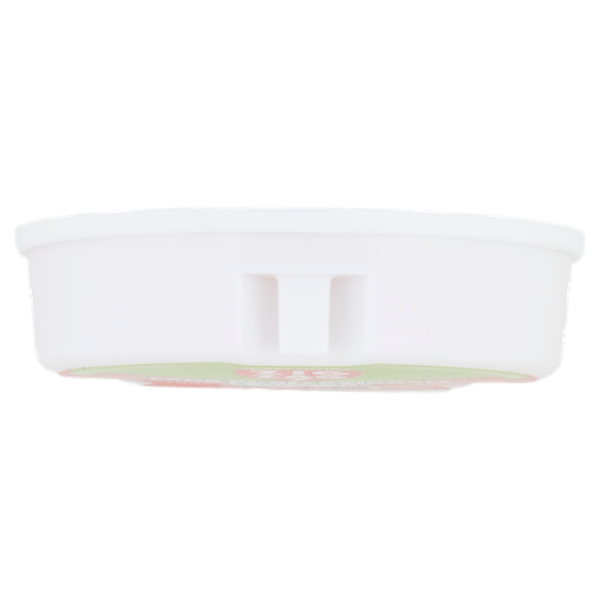 Zig Zag Insetticida Esca Professionale Formiche 10 g