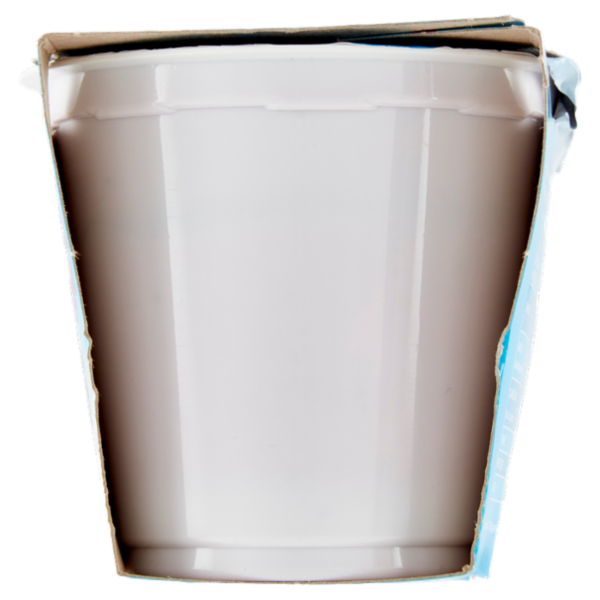 bella vita free Yogurt Magro Senza Lattosio Zero Grassi More e Mirtilli 2 x 125 g