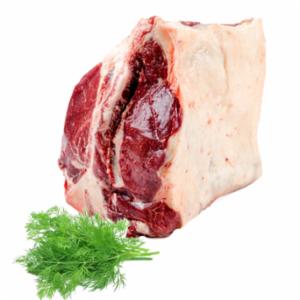 Fiorentina Scottona Aber.Angus