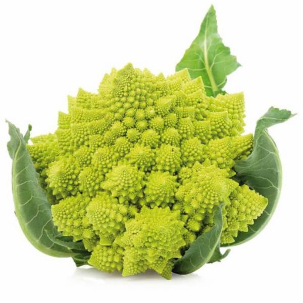 Cavolo Romanesco