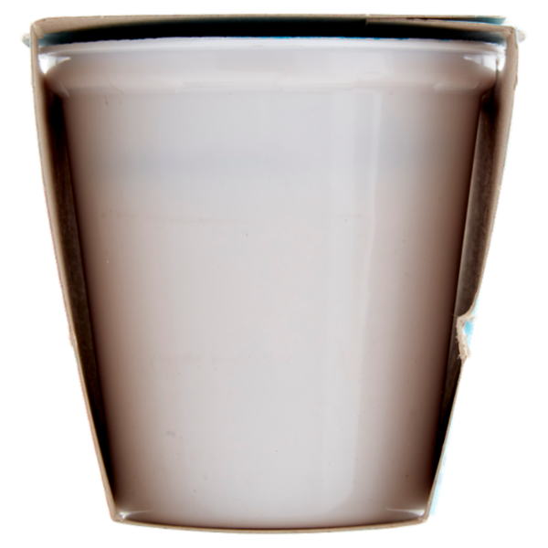 Latteria Brunico Yogurt Magro Zero Grassi Frutta Frullata Fragola 2 x 125 g