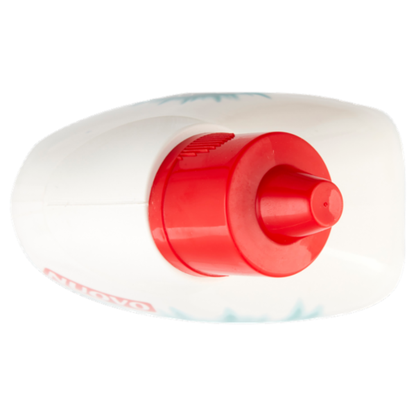 Spic & Span Gel WC Disincrostante Fresh Forest 750 ml