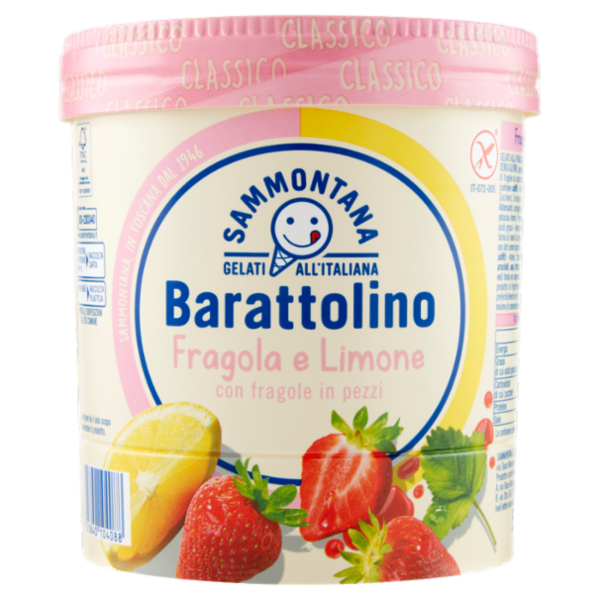 Sammontana Barattolino Classico Fragola e Limone 500 g