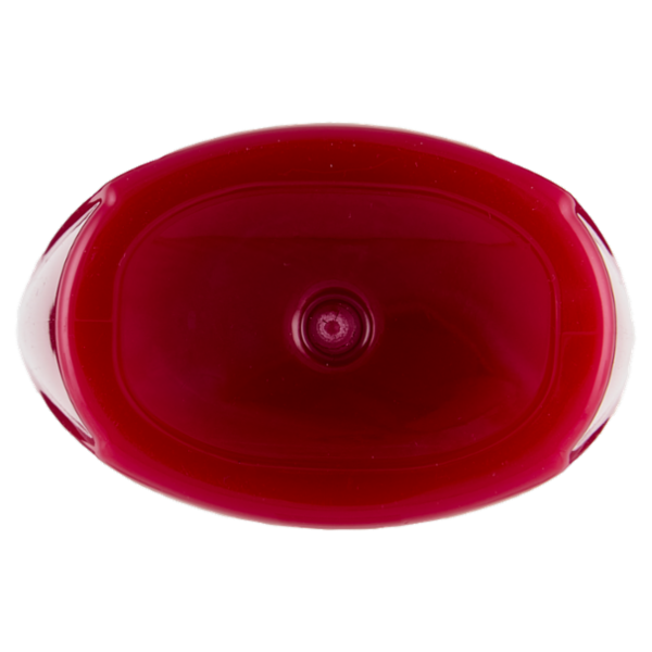 Elvive Color Vive Shampoo Protettivo, per Capelli Colorati o Meches, 300 ml