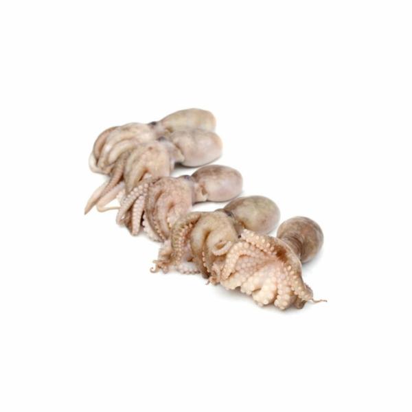 Polipetti Decongelati