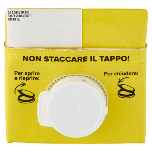 Consilia Succo 100% Ananas 1 L