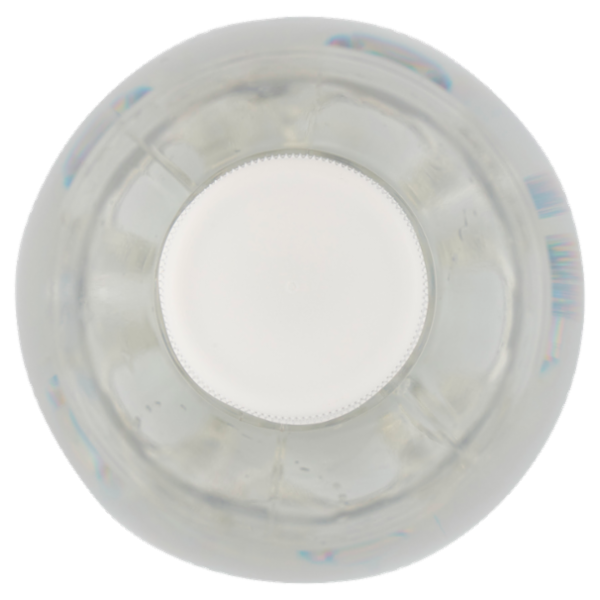 RECOARO Acqua Brillante 90 cl