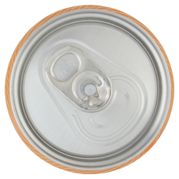 BIBITE SANPELLEGRINO, Bevanda Gassata, Aranciata, Lattina - 330ml