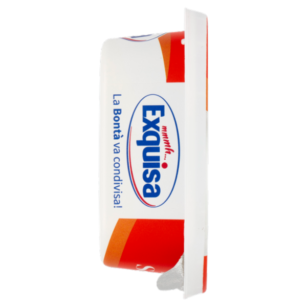 Exquisa il Fresco Cremoso Senza Lattosio 175 g