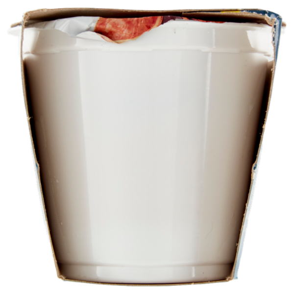 IL GIGANTE Yogurt Intero Nocciola 2 x 125 g